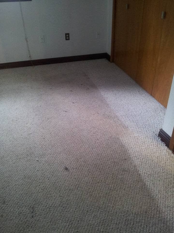 Carpet (Before) 2