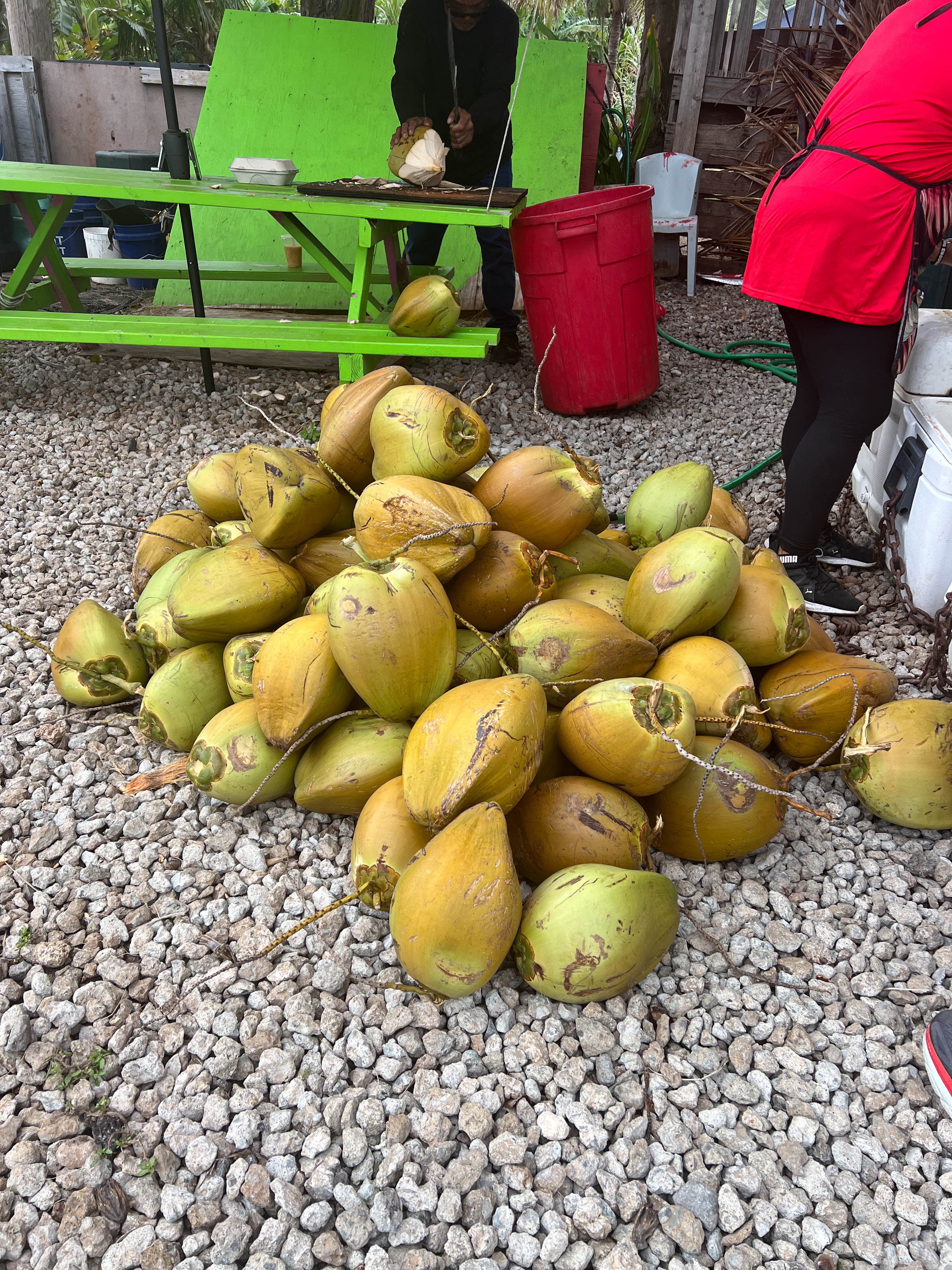 https://0201.nccdn.net/1_2/000/000/174/bc2/hawaii-order-141.jpg