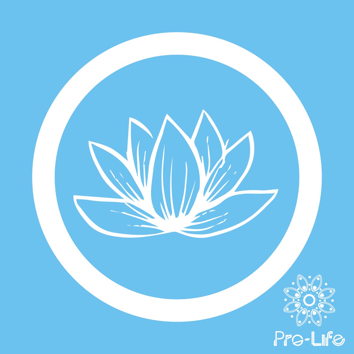 Medicina Tradicional China