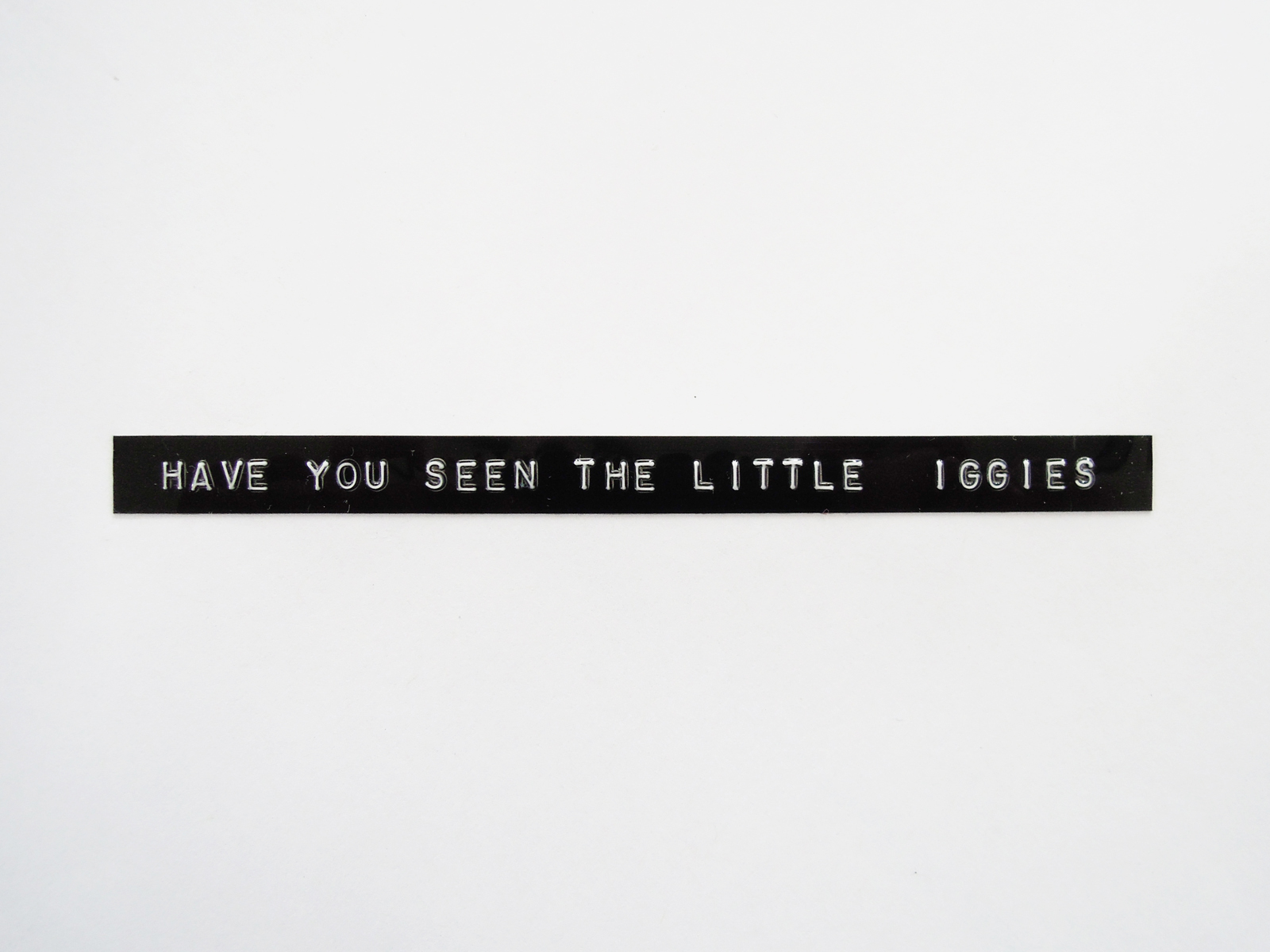 A white-on-black embossed plastic label reads, “Have you seen the little iggies.”