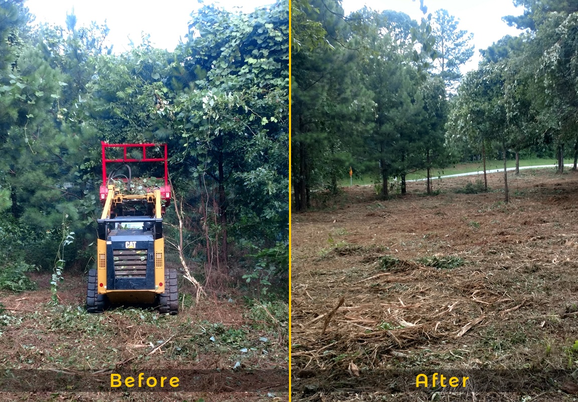 Land Clearing Mulchers Loganville Onsite Brush Mulching Llc