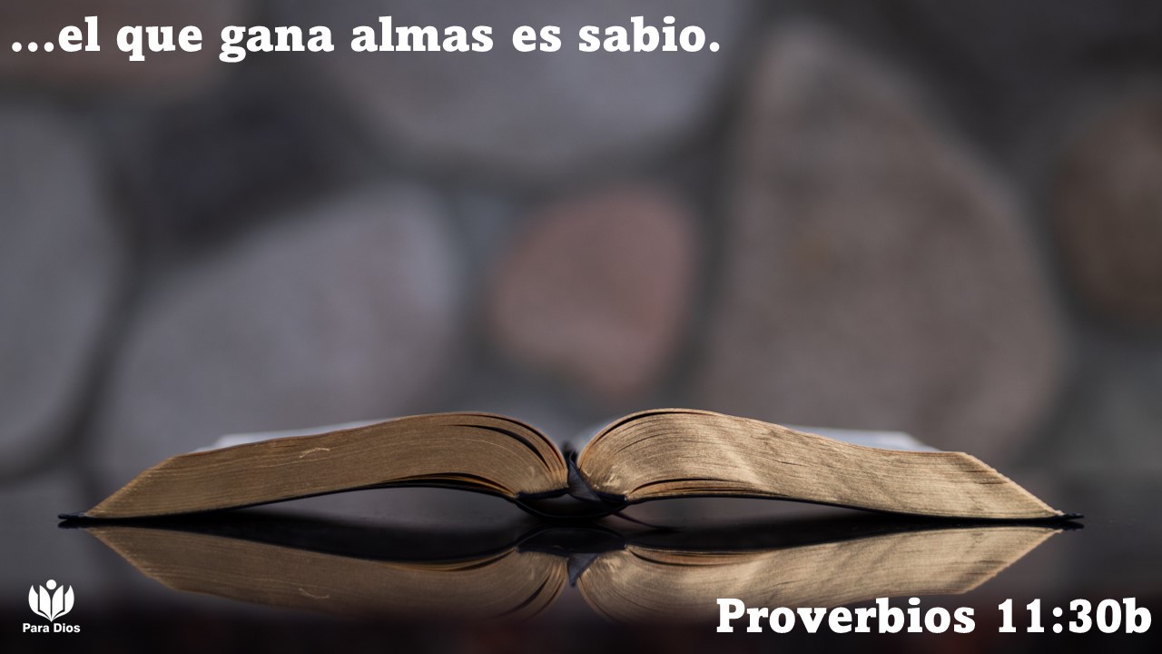 https://0201.nccdn.net/1_2/000/000/175/c7d/slide11.jpg