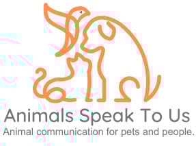 Animals Speak to Us