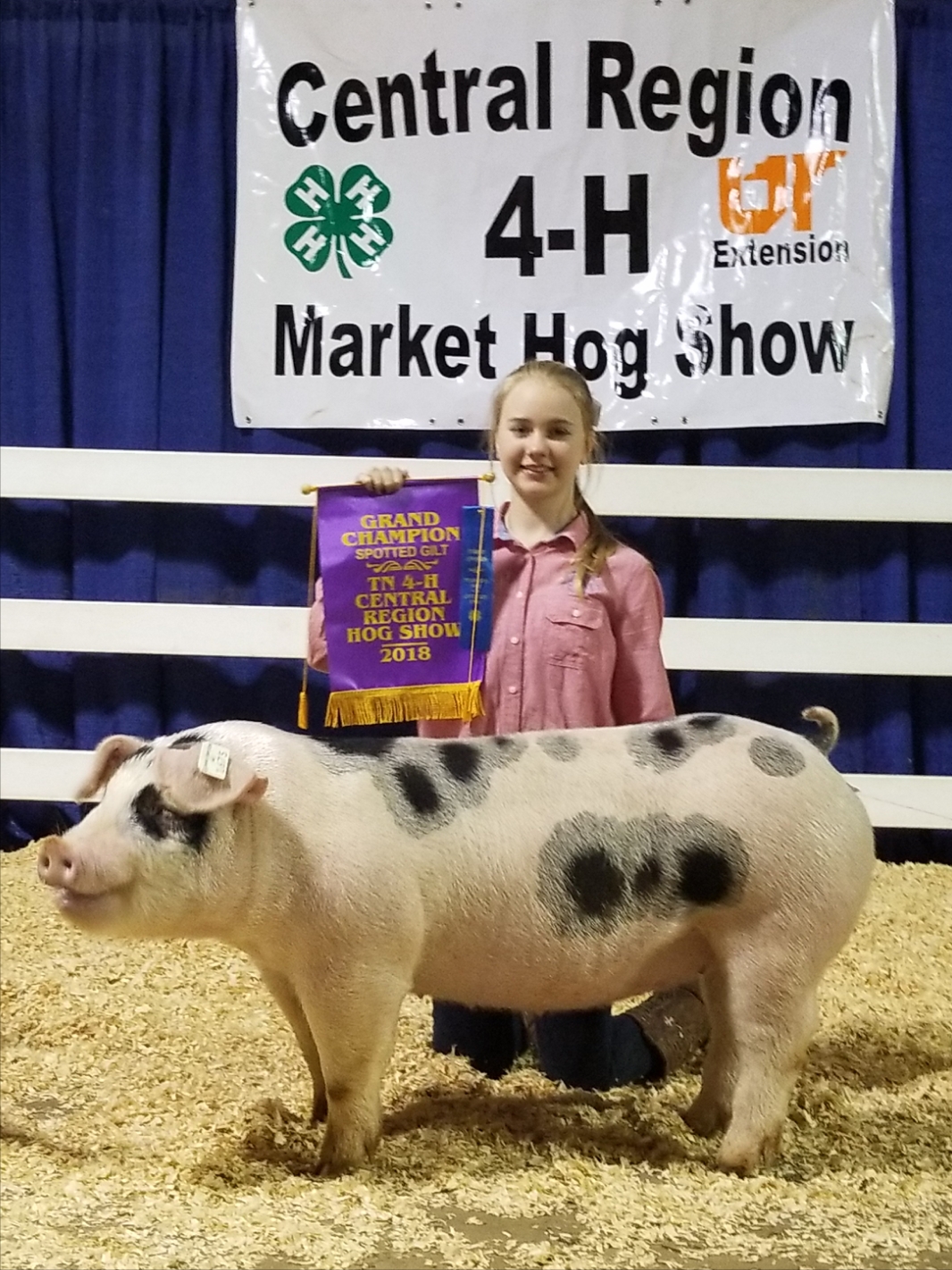 Hannah Sanders
2018 Tennessee Central Region Show
Central Region Champion Spot Gilt
2018 Tennessee State Show 
Reserve Champion AOB Gilt
