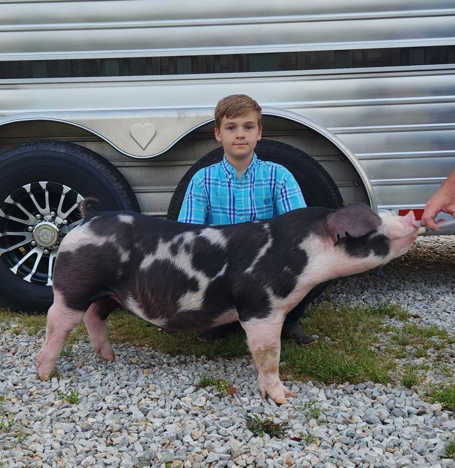 Declan Lusk
TSSC Summer Kickoff
Reserve Spot Barrow (Open Show)
Champion TN Bred Spot Barrow
5th Overall TN Bred Barrow
