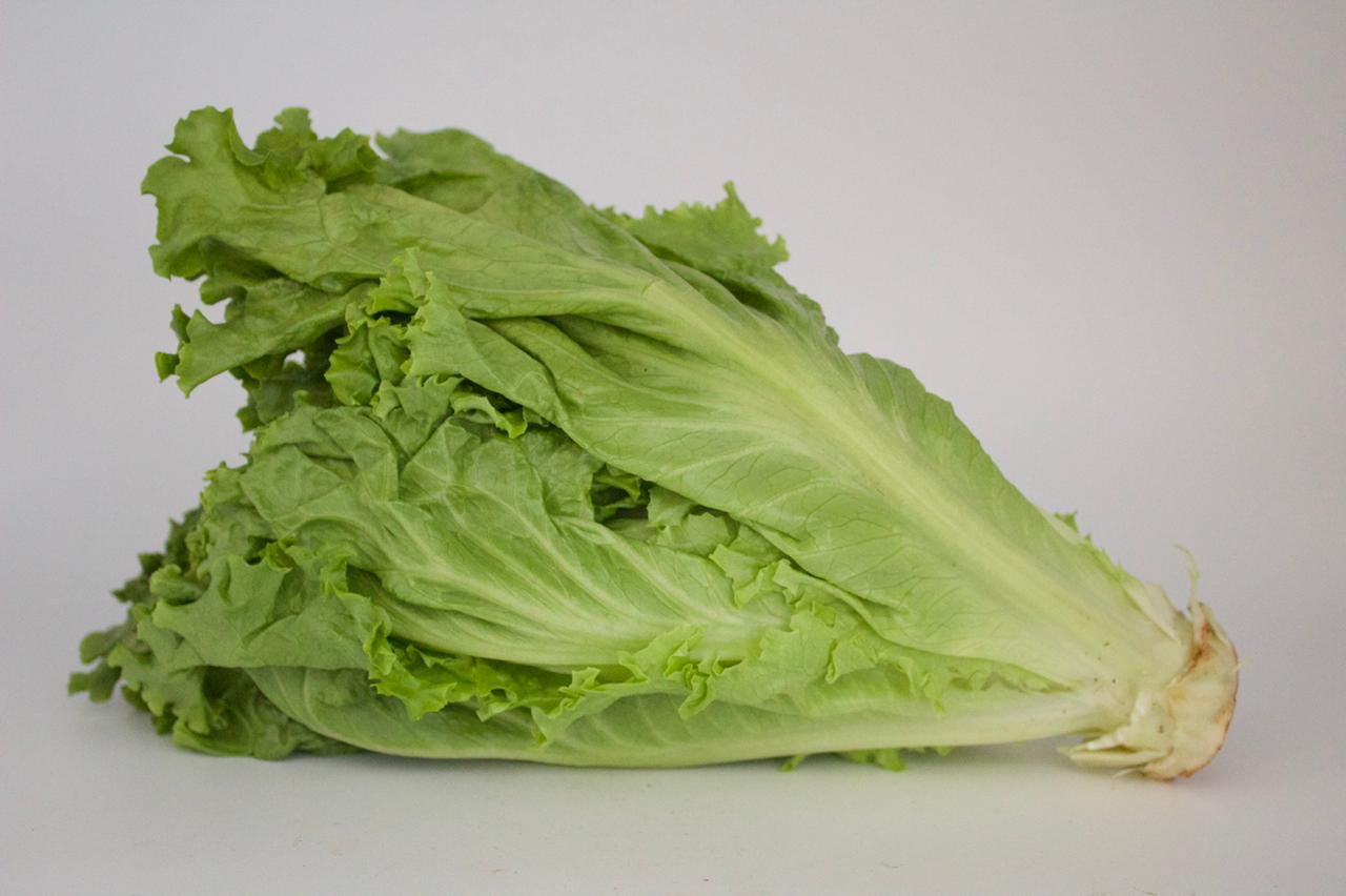 LECHUGA VERDE
