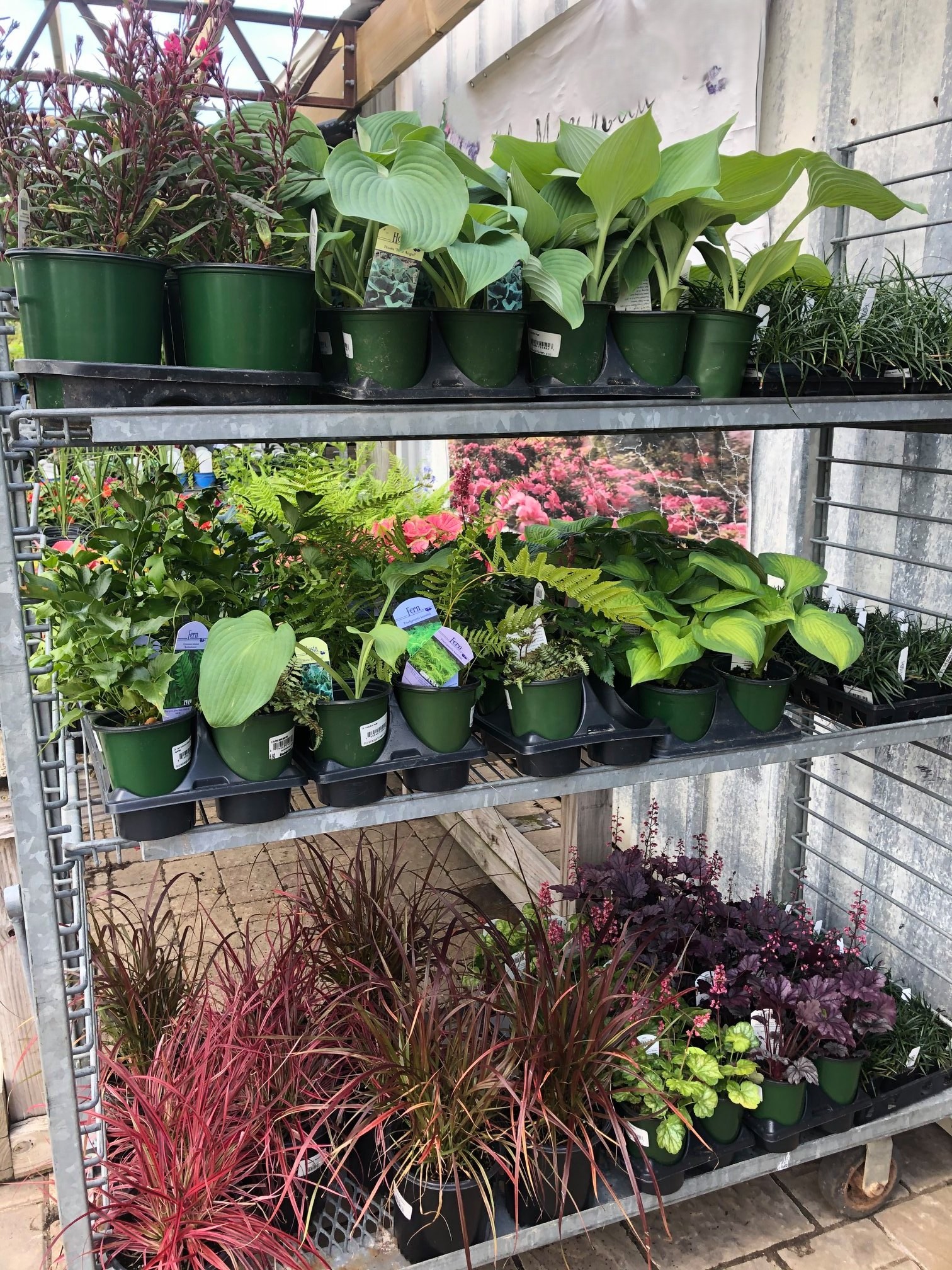 Beautiful garden with a winding stone path, colorful flower beds, lush green trees, and a charming brick house with a porch.