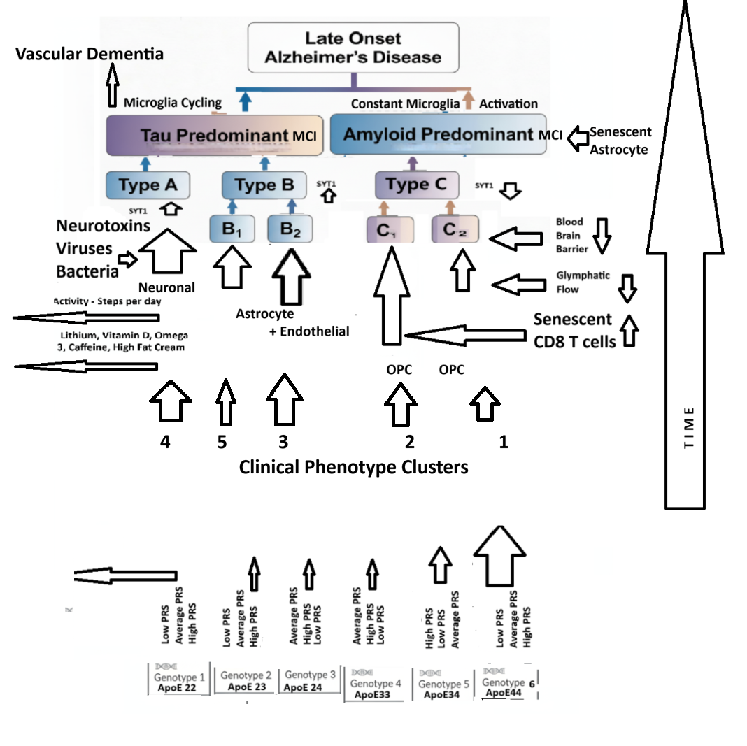 Colorful abstract brain with floating spheres and shapes on a blue background.