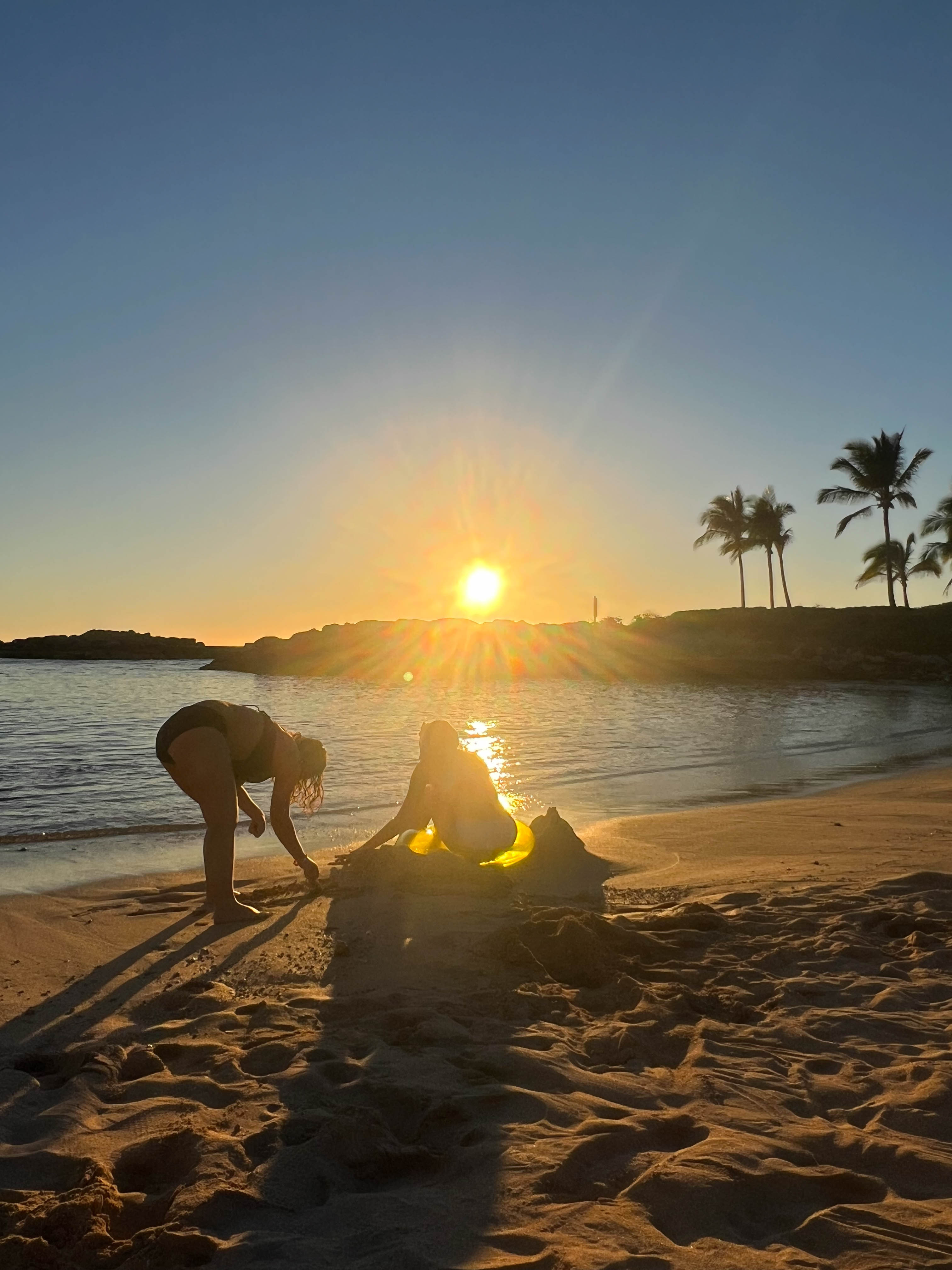 https://0201.nccdn.net/1_2/000/000/176/c51/hawaii-order-19.jpg
