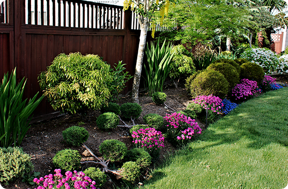 Beautiful front yard garden