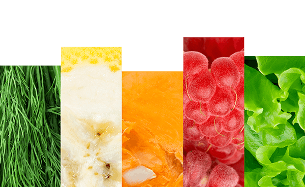 Casa Rentería - Verduras