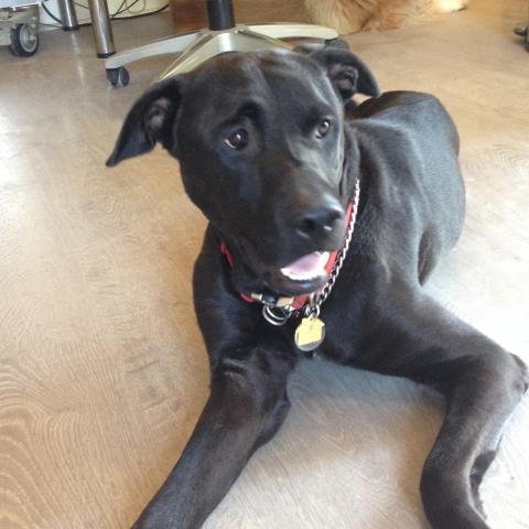 RUGER