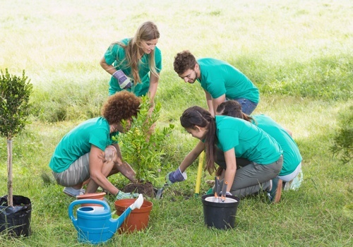 Happy Friends Gardening