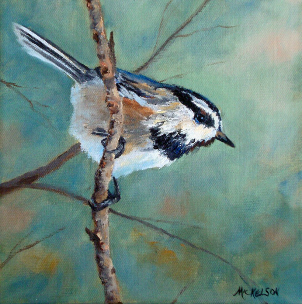Chickadee