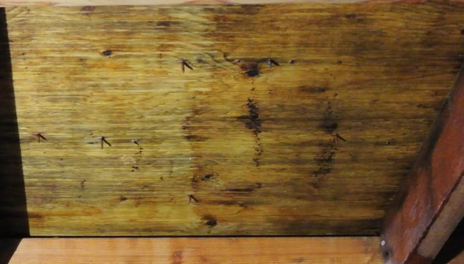 Both Sides Treated Immediate View