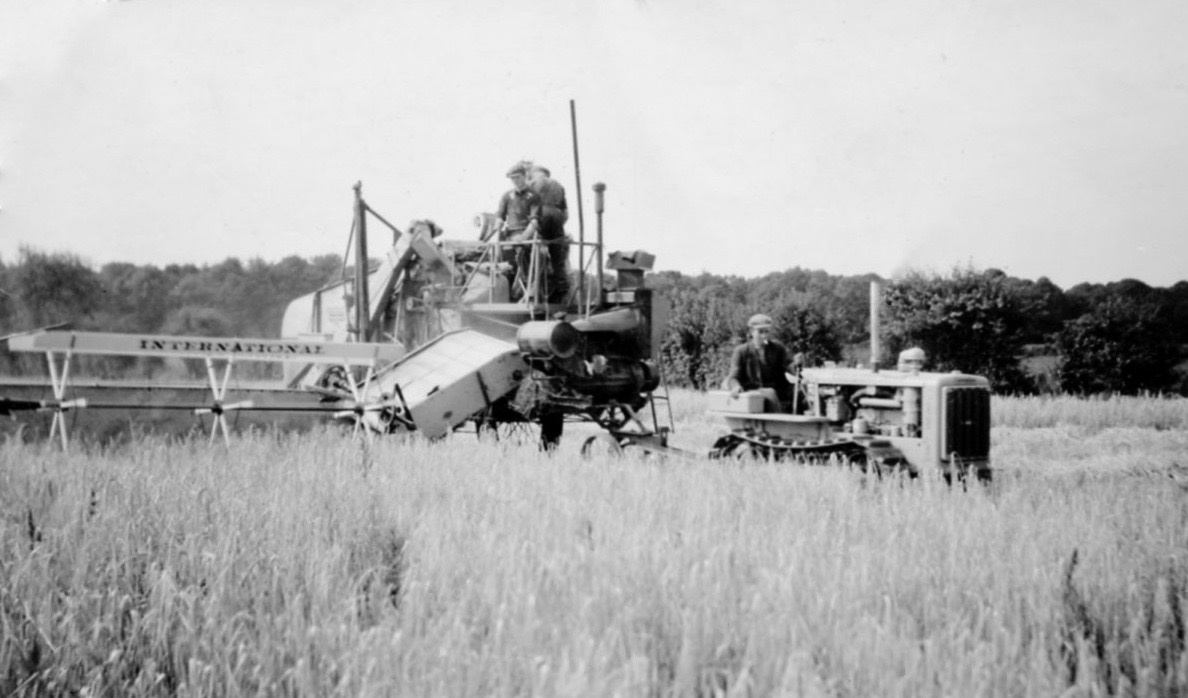 Harvesting at Lackford in 1940s