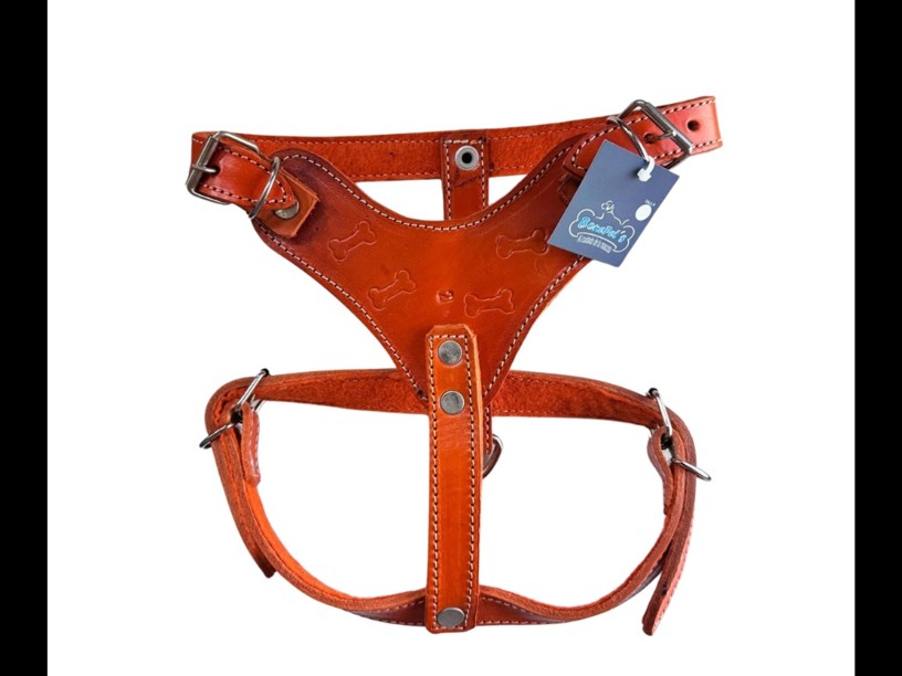 PC02 PECHERA PIEL MEDIANA 
COSCO MEDIANA COLORES