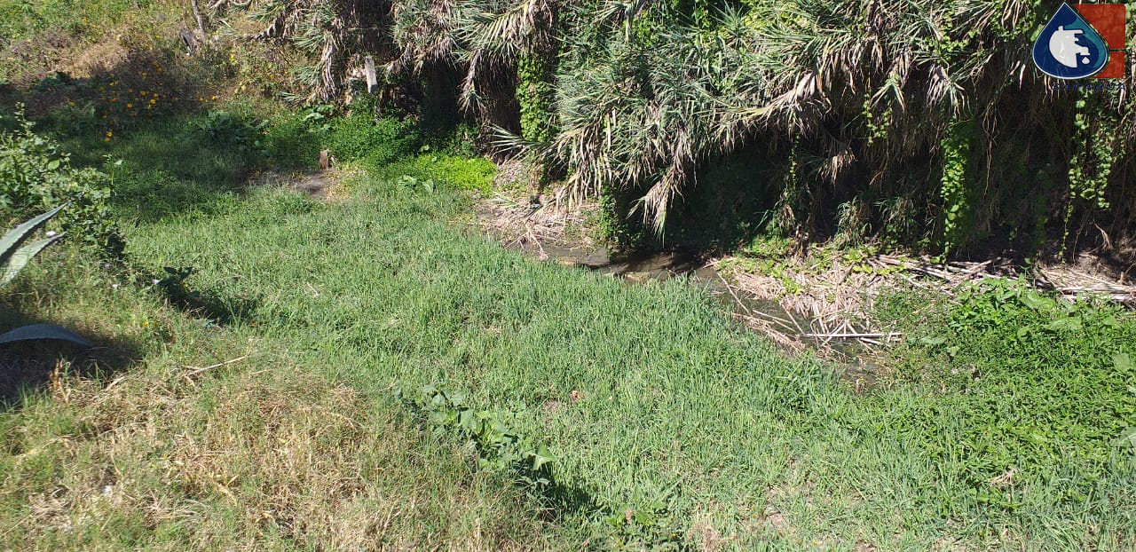 SONDEO DE DRENAJE EN CALLE IGNACIO VÁSQUEZ, COLONIA MILITAR