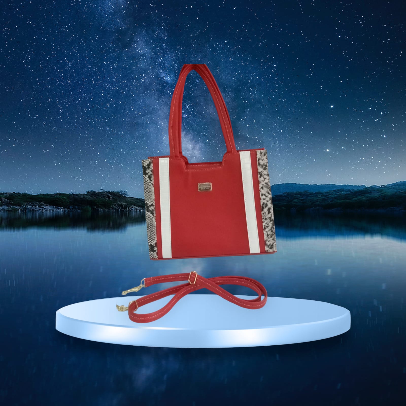 Bolso de Mano Diseño