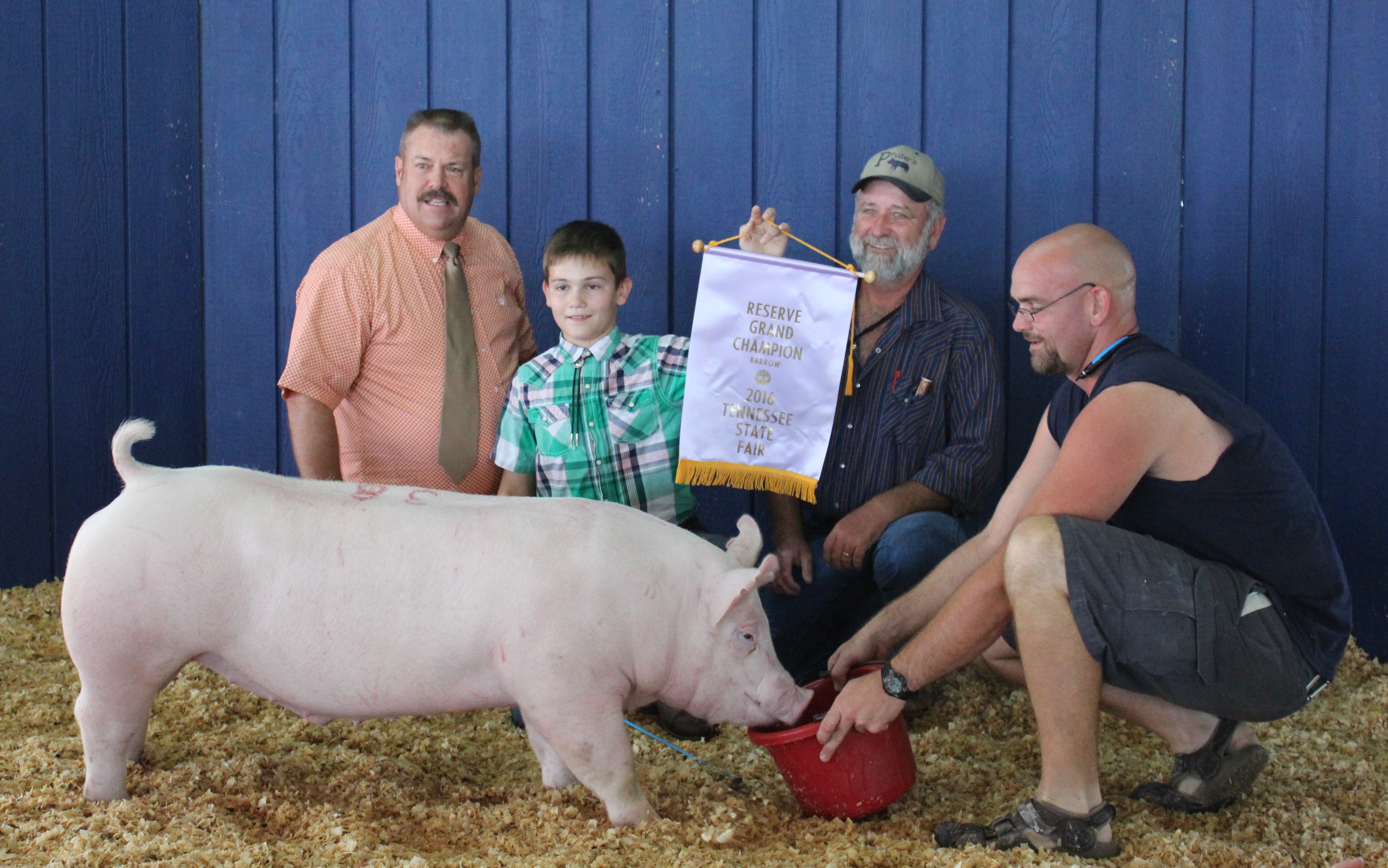 Kalan Lusk
2016 Tennessee State Fair
Champion Yorkshire Barrow 
Reserve Supreme Champion Barrow
