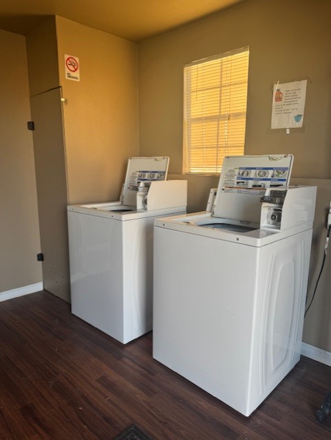 Scenic RV park with campers lined on both sides of a tree-lined road, surrounded by green grass and blooming pink flowers under a clear blue sky.