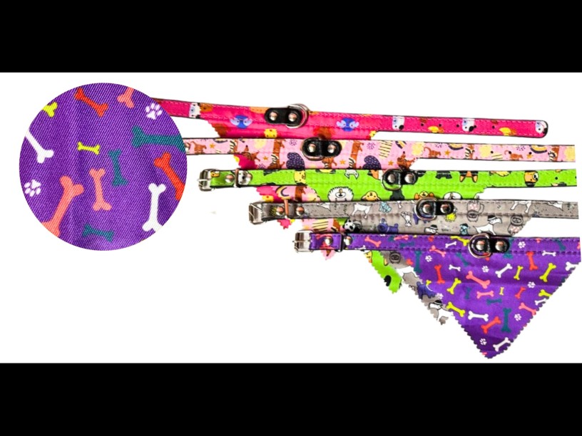 COLLAR CON PALIACATE 
ESTAMPADO