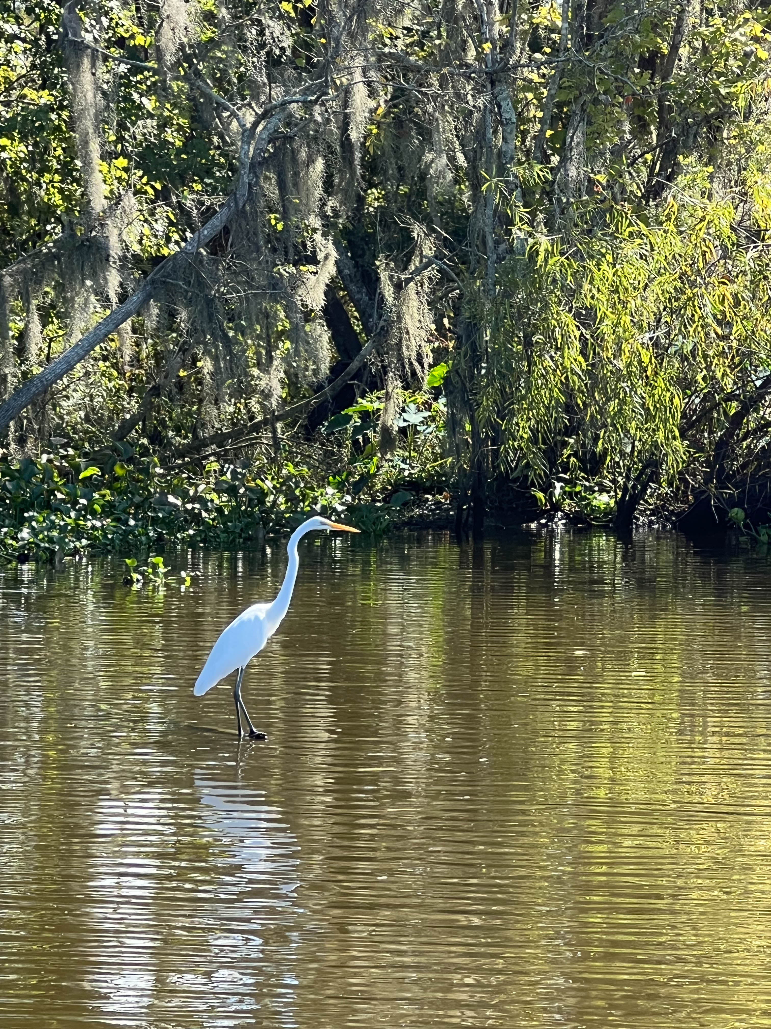 https://0201.nccdn.net/1_2/000/000/178/03e/new-orleans-order-113.jpg