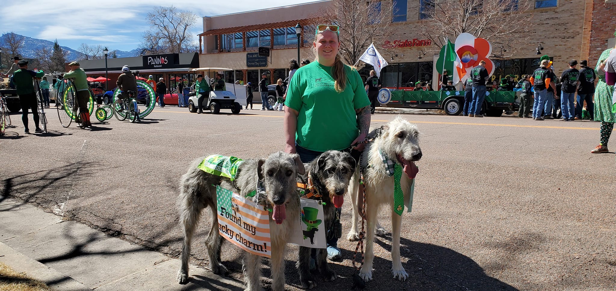 Irish Wolfhounds in the AKC Hound Group