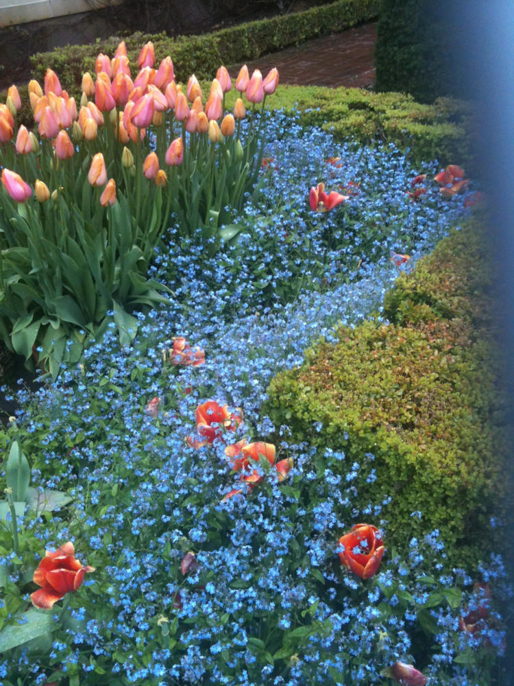 Do you prefer ornate formal gardens, like this one at Filoli?