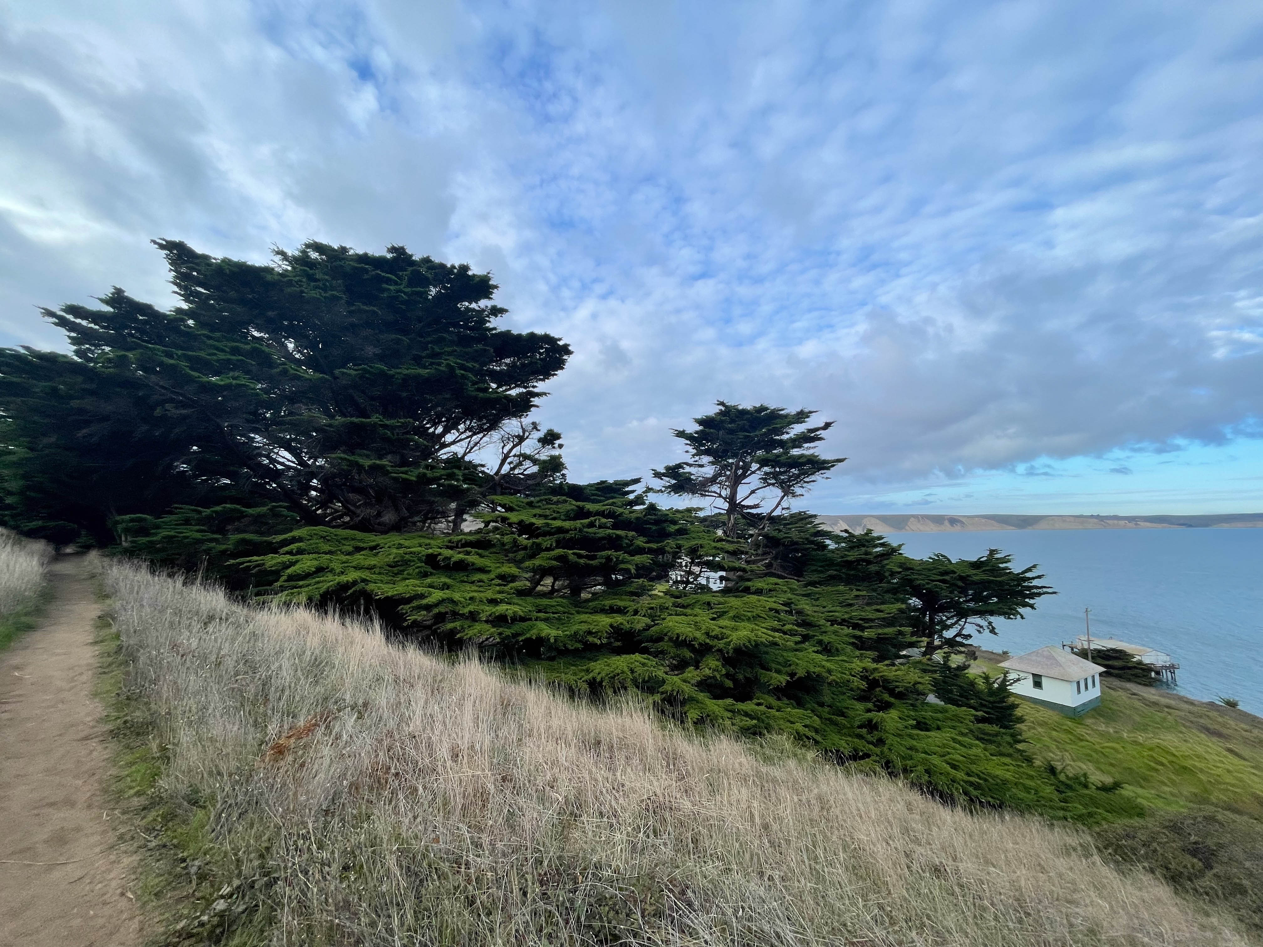 https://0201.nccdn.net/1_2/000/000/178/5b1/san-fran-order-2-136.jpg