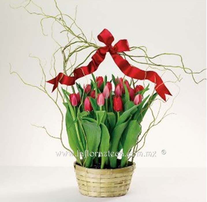 LFA-OT003
Precio $1,490