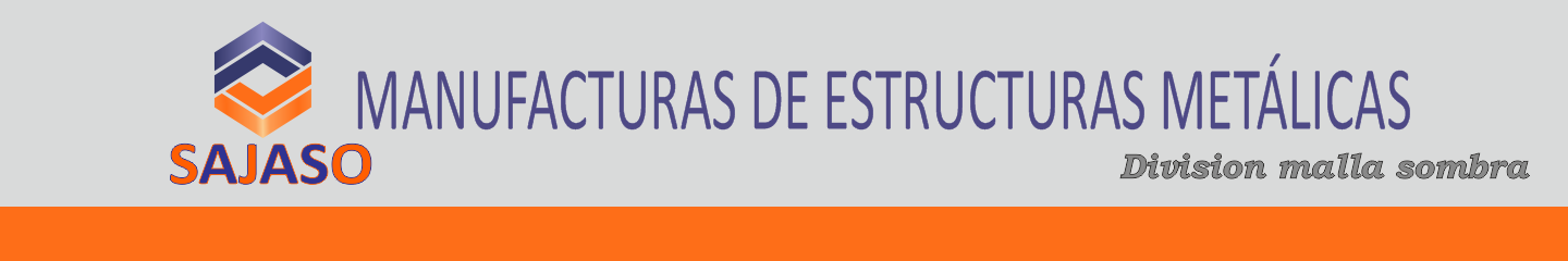sajaso.com.mx
