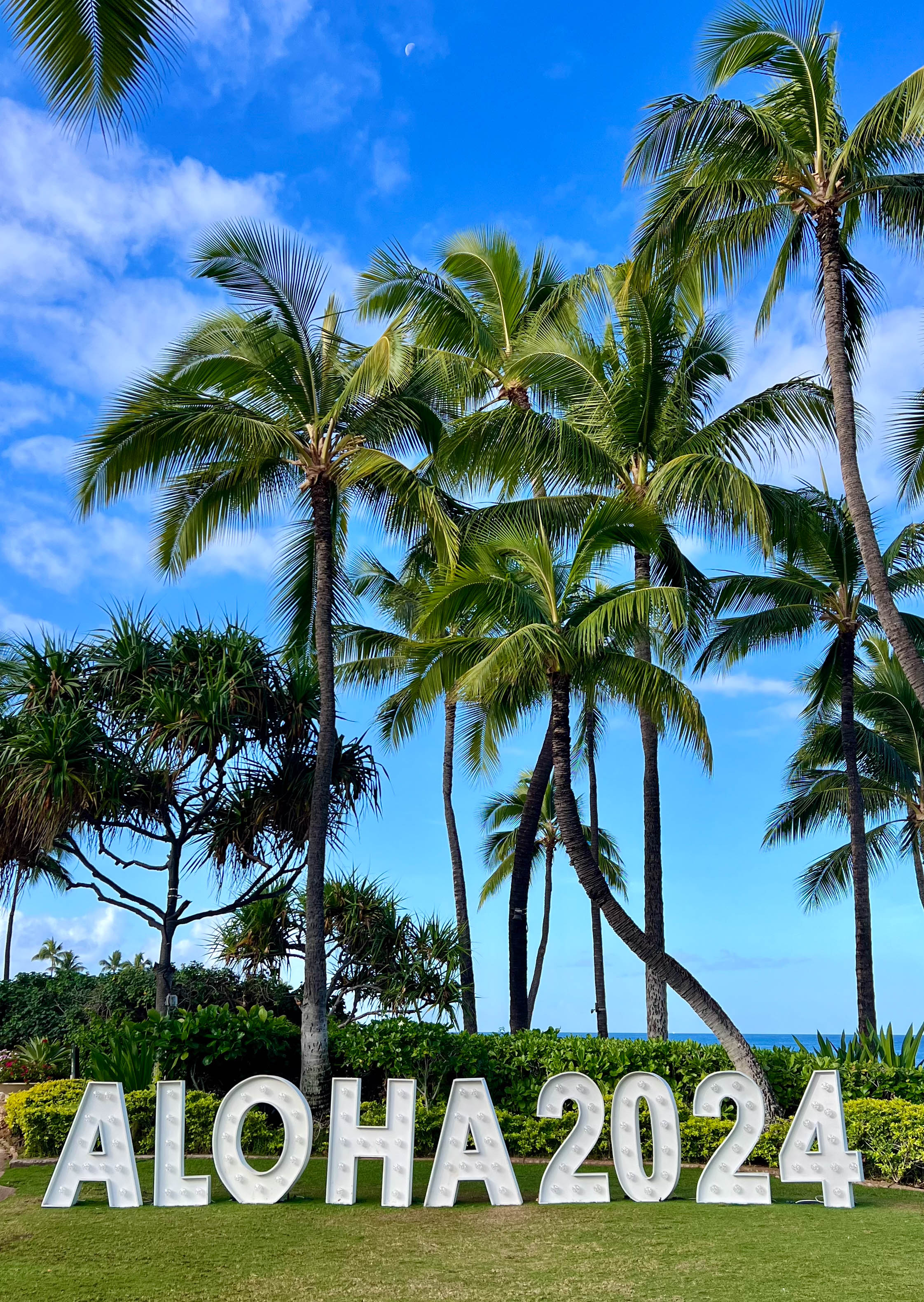 https://0201.nccdn.net/1_2/000/000/179/8b9/hawaii-order-116.jpg