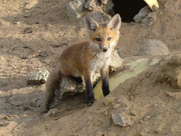 can we spot royalty or what?