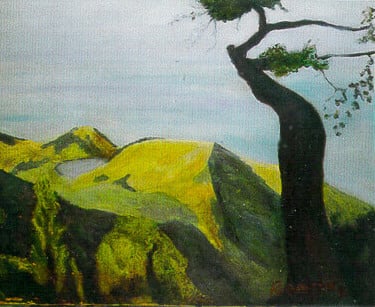 Op-029 NEPENTHE VIEW 24 in 30 in Oil on Linen 1992 private collection