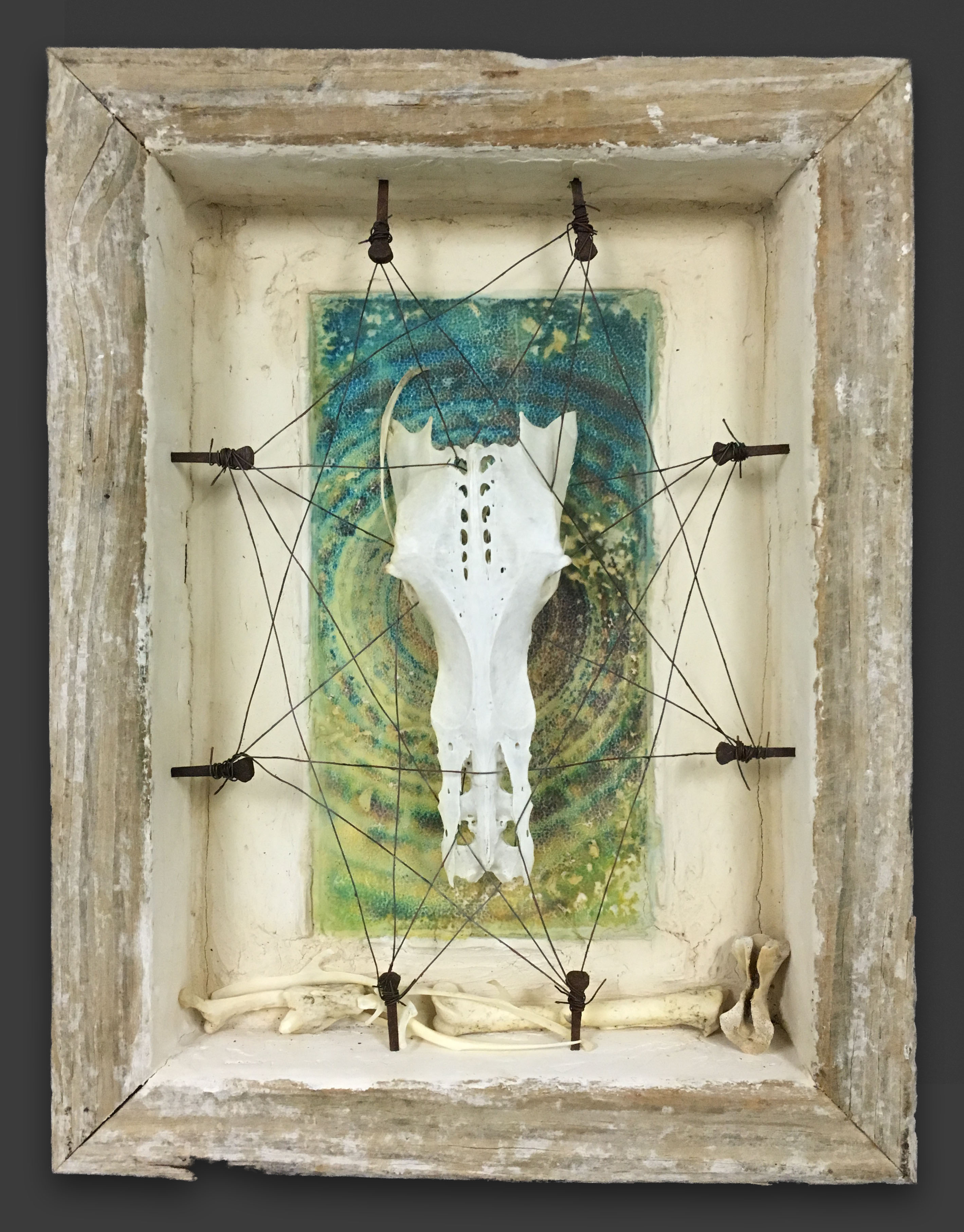 "Pelican Fetish" 2016