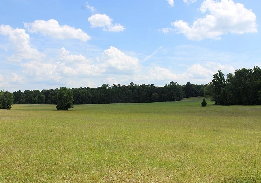 Vacant Land Vacant Land