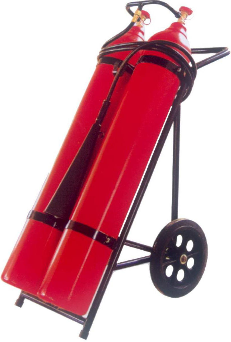 https://0201.nccdn.net/1_2/000/000/17a/529/extintor-carretilla-co2-ref-ec-611.jpg