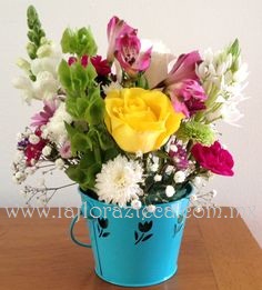 MD - 102  $680
Variedad de Flores de Temporada