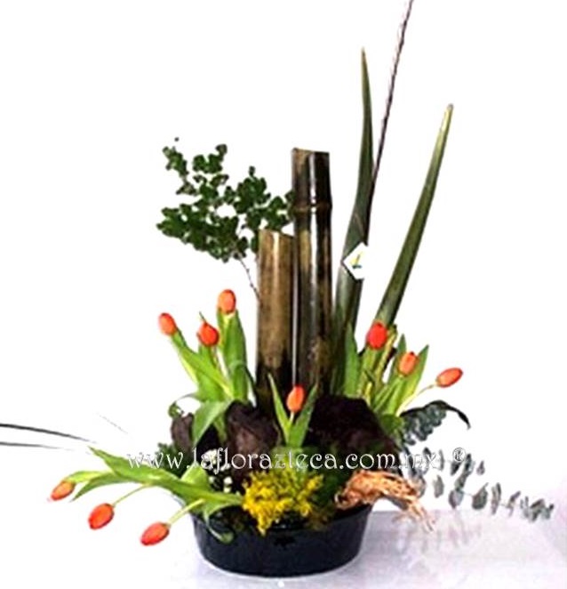 LFA-OT018 Estructura de Bambu
Precio $1,680