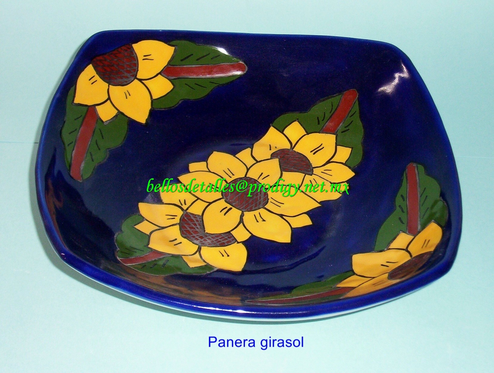 https://0201.nccdn.net/1_2/000/000/17a/ea1/Panera-girasol-1632x1232.jpg