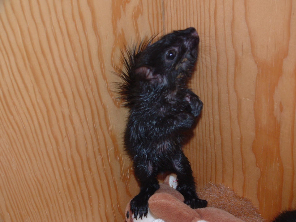 I hate the paparazzi!!!!