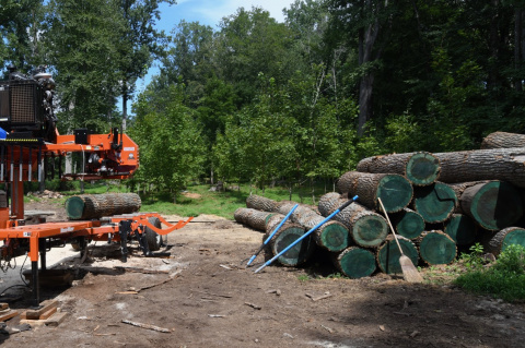 Terrific Timbers Llc Portable Sawmill Service Portable Sawmill