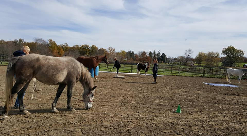 Playing at a Positive Way Play Day
