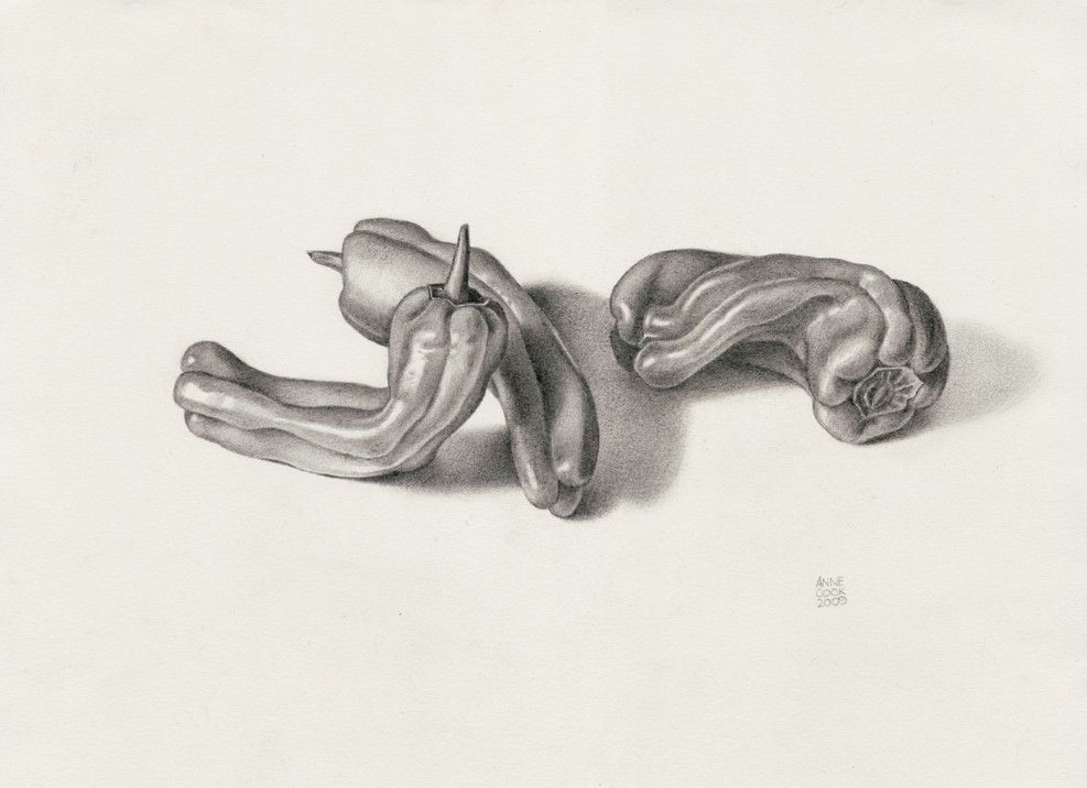 Hot Peppers, graphite on paper