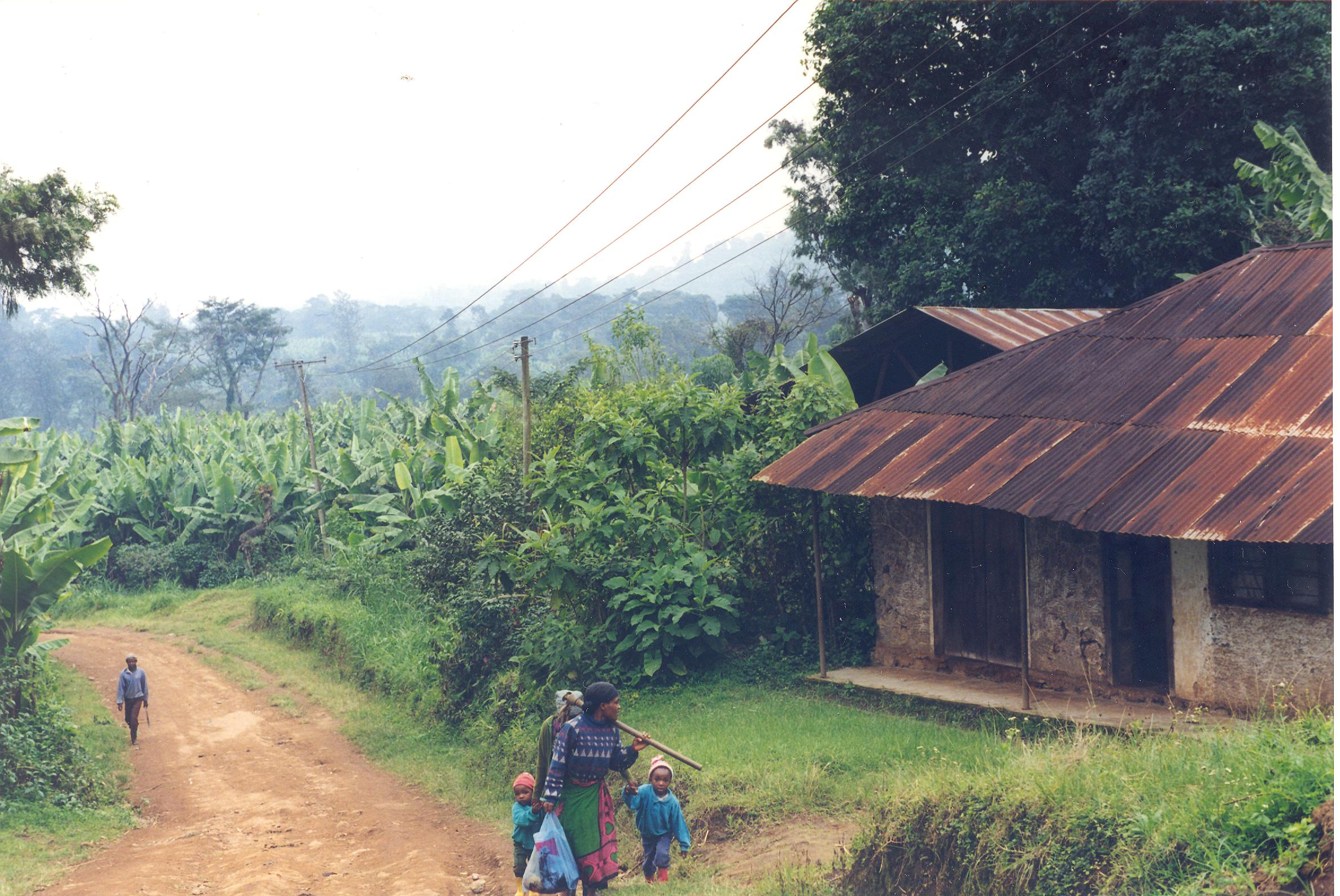 Start of Machame Route