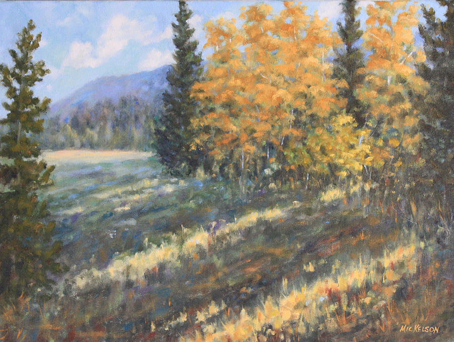 Laramie River Valley Shadows