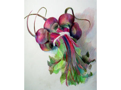 A Bunch of Beets (Coloured Pencil on HP paper) 12" x 10"