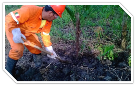 Protección al Medio Ambiente