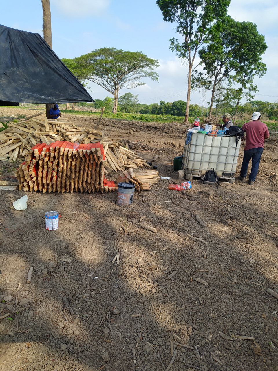 Trabajos Tercera Etapa